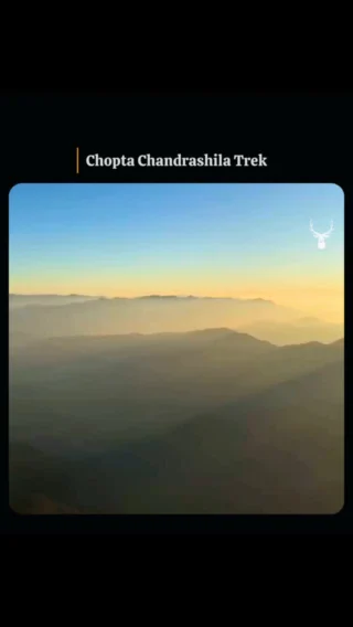 Instagram post from himalayan_stag_camp_official. This post is in position 9.
