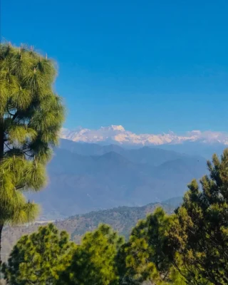 Instagram post from himalayan_stag_camp_official. This post is in position 2.