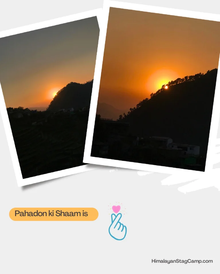 Instagram post from himalayan_stag_camp_official. This post is in position 3.