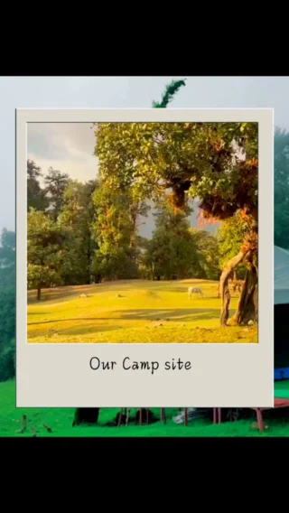 Instagram post from himalayan_stag_camp_official. This post is in position 16.