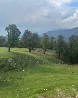 Instagram post from himalayan_stag_camp_official. This post is in position 12.