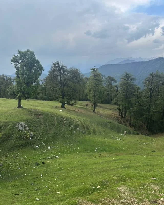 Instagram post from himalayan_stag_camps_official. This post is in position 12.