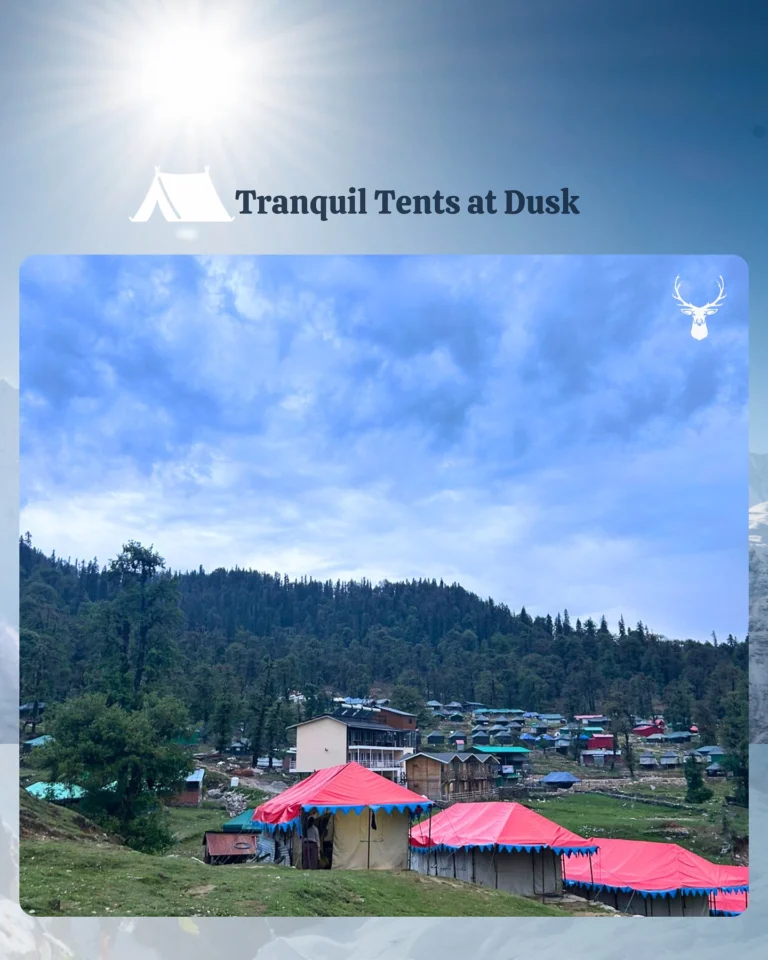 Instagram post from himalayan_stag_camp_official. This post is in position 2.