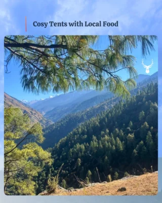 Instagram post from himalayan_stag_camp_official. This post is in position 3.