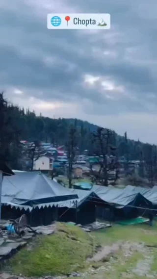 Instagram post from himalayan_stag_camps_official. This post is in position 1.